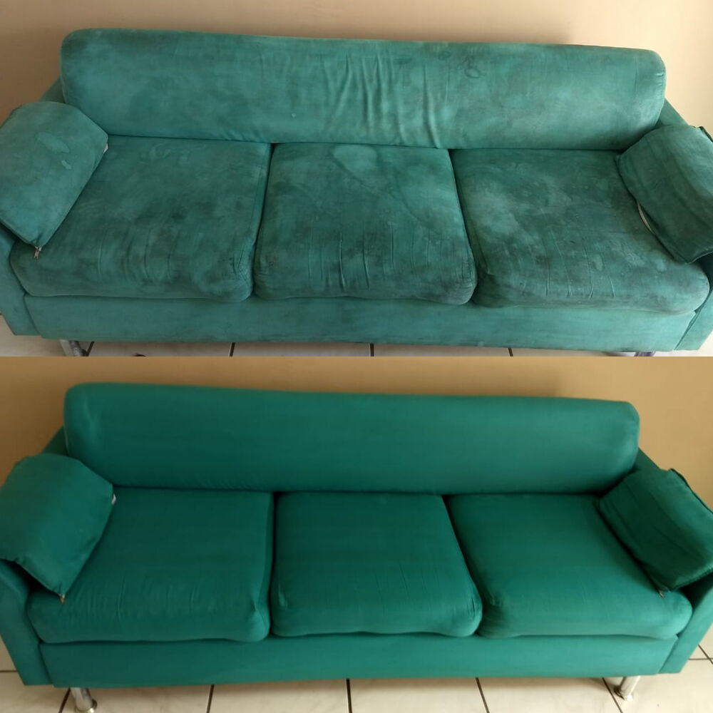 Estofado verde após higienização